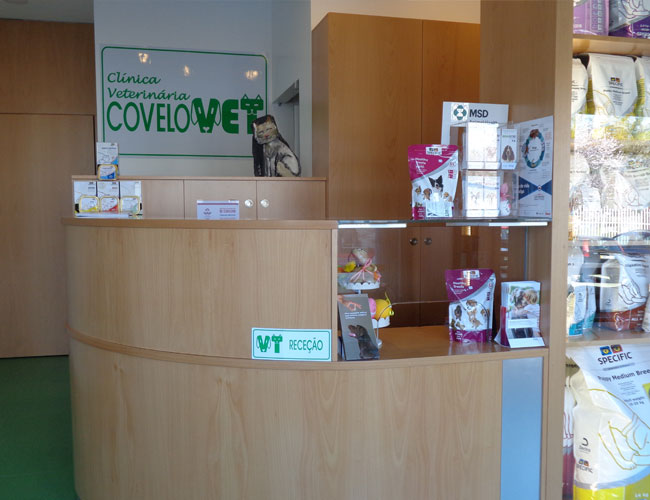 Covelovet, Clínica Veterinária 