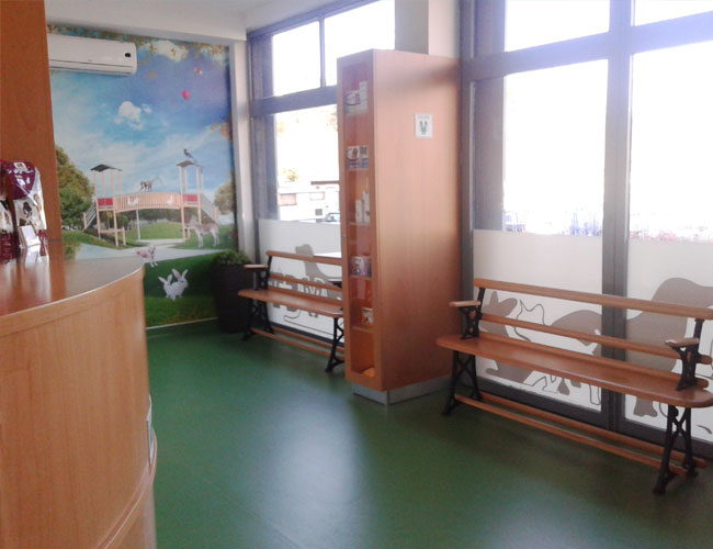 Covelovet, Clínica Veterinária 